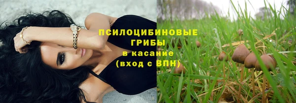ешки Алексеевка