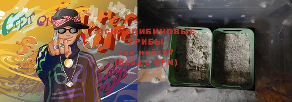 молекула духа Алзамай